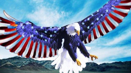 Eagle Patriotic usa-eagle-wallpaper[1].jpg