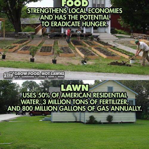 Lawn vs Garden.jpg