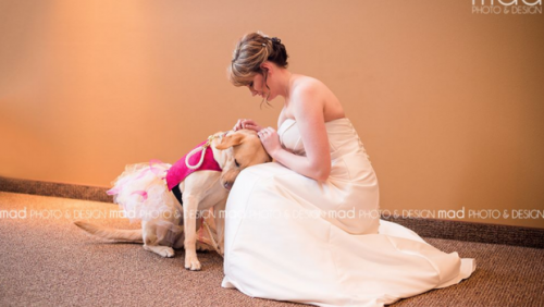 screen-shot-2016-01-15-at-5-08-06-pm--Bride With Service Dog--Valerie Parrott shares a sweet moment with her service dog, Bella. MAD PHOTO AND DESIGN_0.png