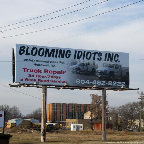 blooming idiots.jpg