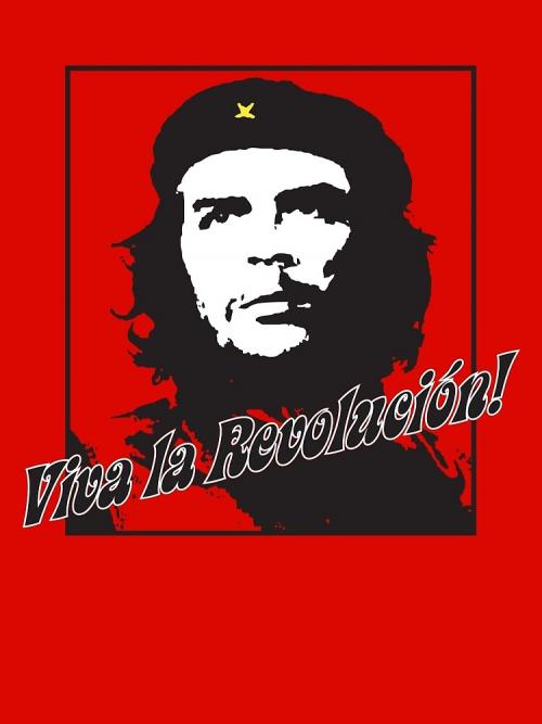 viva la revolucion.jpg