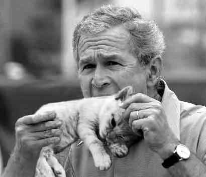 BushCat.jpg