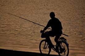 images_1.jpg