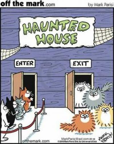 Cartoon Cats on Halloween fbc92fac2c65ff960e4c0895c63cbbef[1].jpg
