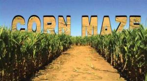 Corn-Maze-Web-Banner.jpg