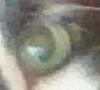 Eye of Oreo.jpg