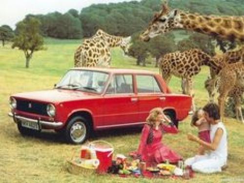 Giraffe Picnic f4fdf03e4987dfb246f9956ff39eace3[1].jpg