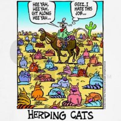 Herding Cats 2076ceaa7d88a62f4df4f6d4dbba81e5[1].jpg