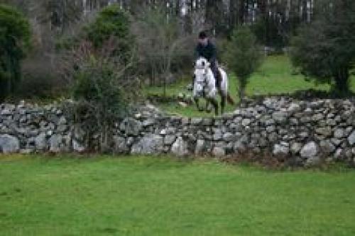 Horse jumps Stone Fence.jpg