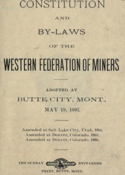 WFM Constitution, 1893-96.png