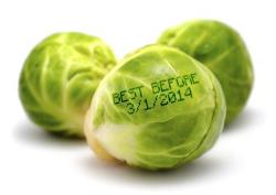 brussels_sprouts_expiration2.jpg