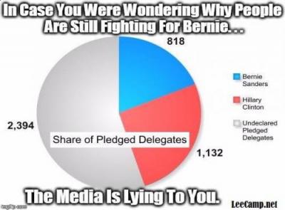 delegate chart.jpg