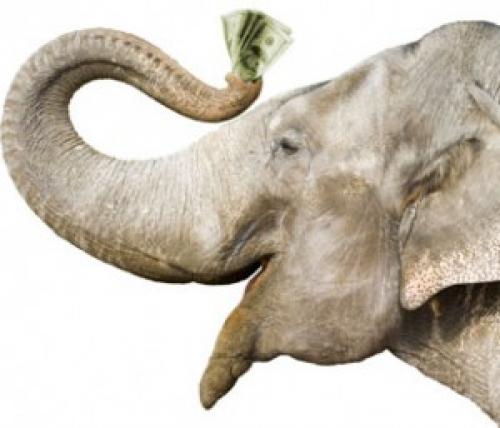 elephant-with-money1-300x257[1].jpg