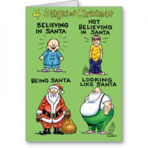 stages_of_christmas_humor_holiday_card-r2061c1b980404d25a78ac97c2582a133_xvuat_8byvr_400.jpg