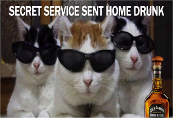 Cat-Secret-Service.png