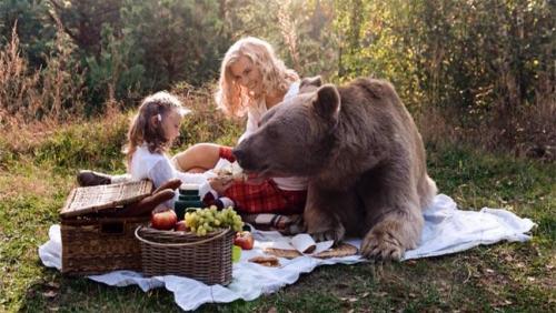 Bear brown-bear-dines-with-girl-and-her-mum-at-a-real-life-teddy-bears-picnic-136401732978203901-151119115912[1].jpg