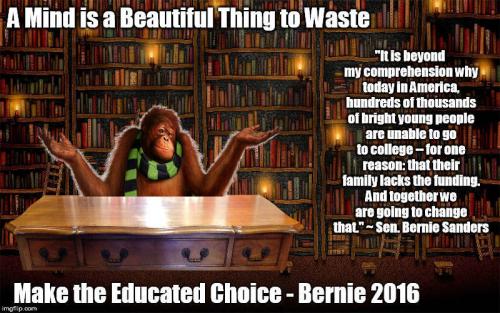 BernieEducatedMonkey.jpg