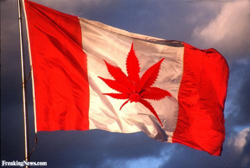 Canada MJ flag.jpeg