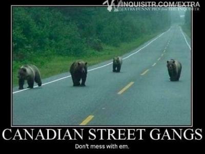 Canadian street gangs_0.jpg