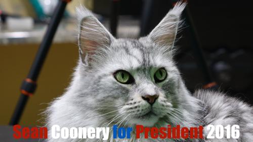 Cat President Sean Coonery maxresdefault[1].jpg