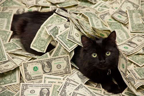 Cat and Cash tumblr_mo7ggqkITE1qgn992o1_500[1].jpg