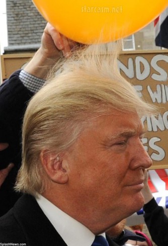 Donald-Trump-static-balloon-close-up-334x490.jpg