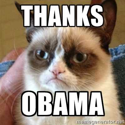 Grumpy-Cat-Thanks-Obama_1_.jpg