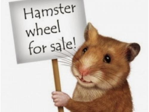 Hamster.jpg