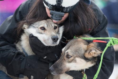 Handler Connie LaRose hugs the sled dogs before the official start.  2bba120f-fdec-49f4-8777-bb8f191c44d4-1020x681.jpeg