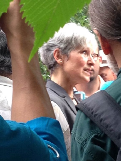 Jill Stein