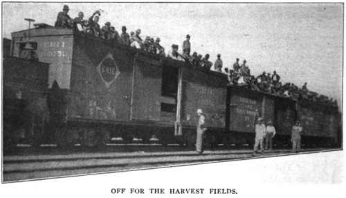 Off for the Harvest Fields. ISR, June 1915.png