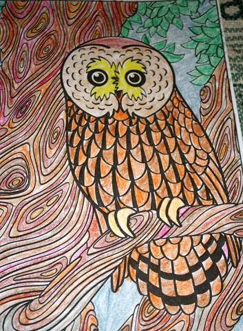 Owl Color Magazine.jpg