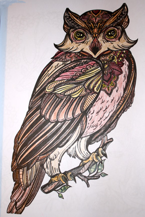 Owl Coloring.jpg