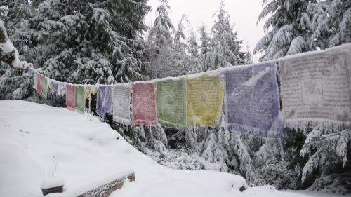 Prayer Flags Bowen.jpg