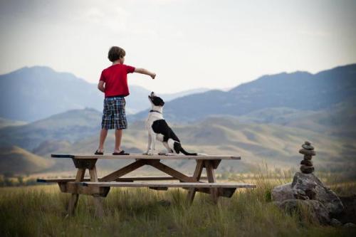 Puppy and boy 185761858-F[1].jpg