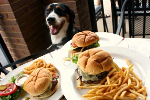 Puppy and burgers 20130723-259877-luckys-burgers-and-brew-dog-patio[1].jpg