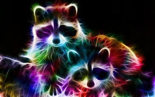 Raccoons other-fractal-racoons-animal-rainbow-photoshop-desktop-wallpapers[1].jpg