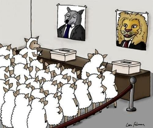 Sheeple voting.png