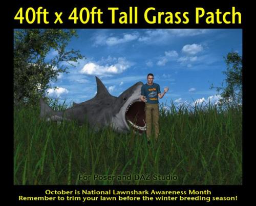 Tall grass.jpg