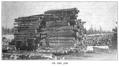 Timber Workers, On The Job, ISR Jan 1916.png