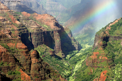 Waimea-Canyon-Biking-1[1].jpg