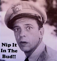 barney fife.jpg