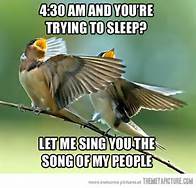 bird - song of my people.jpg