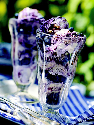 blueberry-ice-cream-R067366-ss[1].jpg