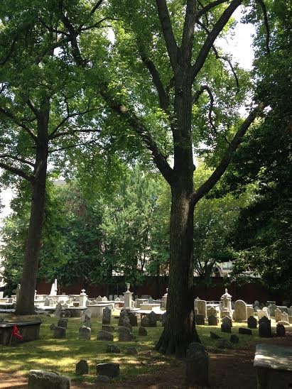 cemetery shadows