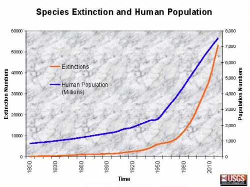 extinction vs population.jpg