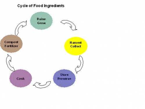 food cycle.JPG