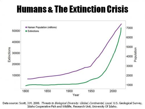 humans vs extinctions.jpg
