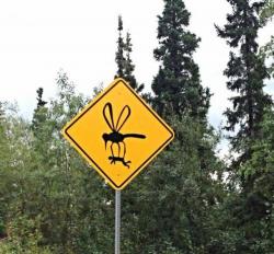 mosquito roadsign.jpg