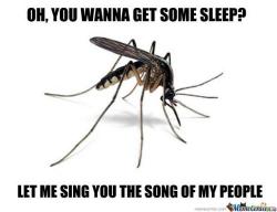 mosquito_youwannasleep.jpg